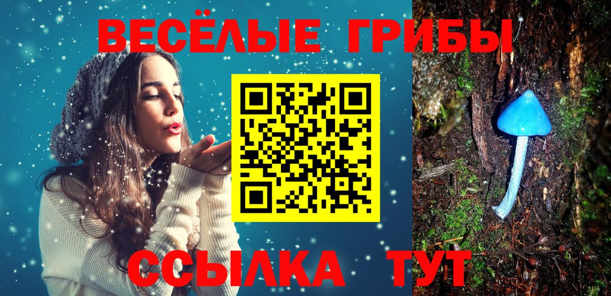 Гашиш Ленинск-Кузнецкий